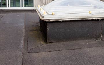 disadvantages of Aiginis flat roofs
